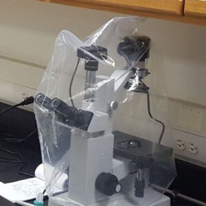 Cell Culture Microscope